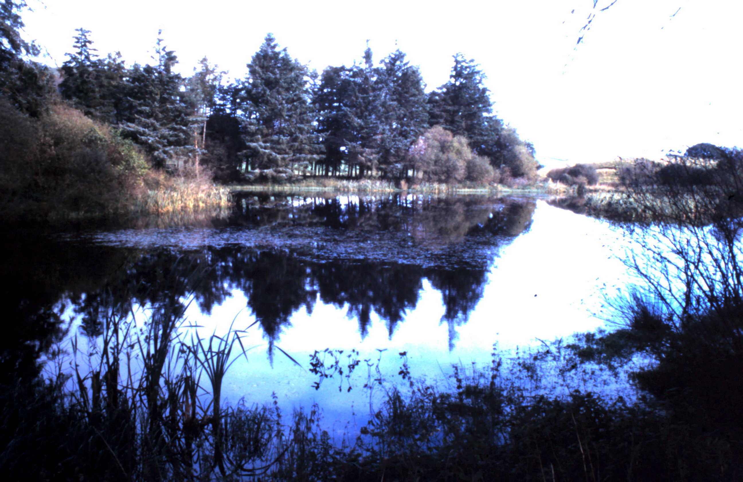 Aird Loch