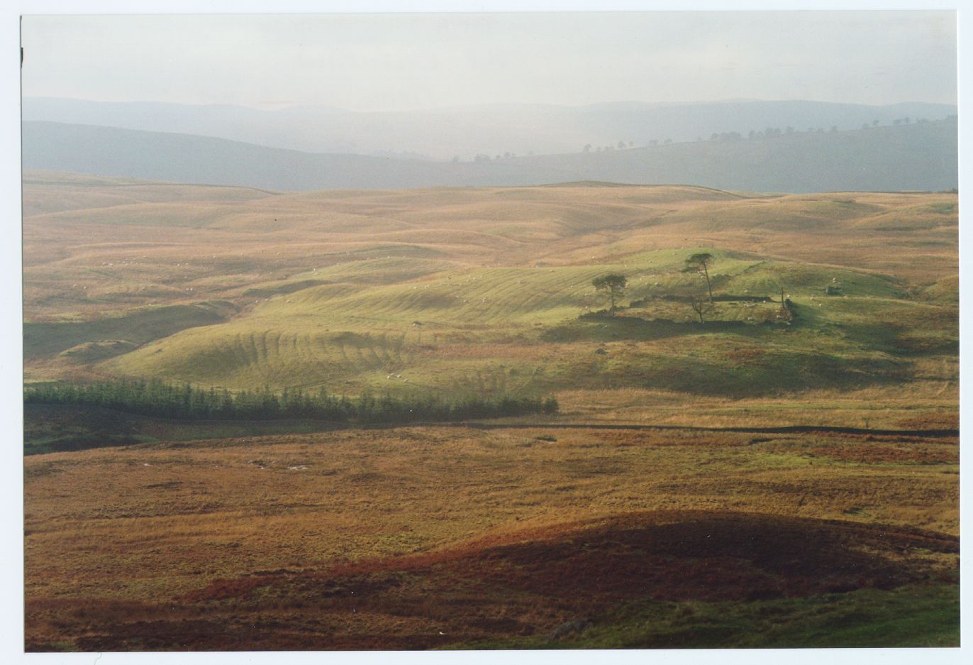 Cormilligan Hummocky Glacial Deposits with Run-rig