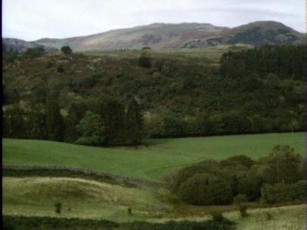 Tynron Juniper Wood from Barr Hill