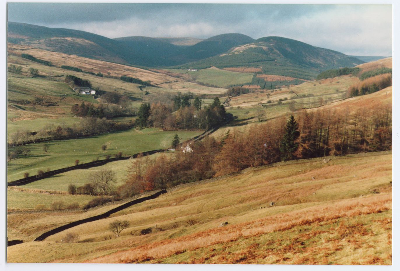 Tynron Glen from Auchenbrack to the forestry