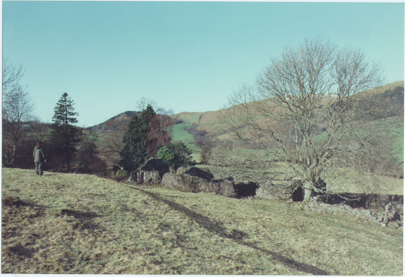 Upper Cairneycroft in ruins